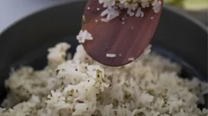 A wooden spoon lifting seasoned sushi rice from a bowl, ready for preparation.